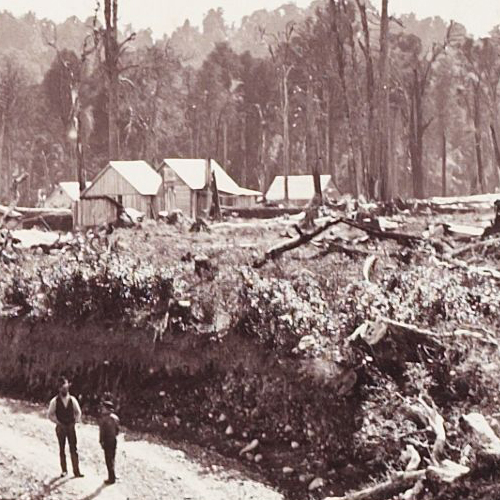 Settled by the land Scandinavian settlement in the Wairarapa Aratoi — Wairarapa Museum of